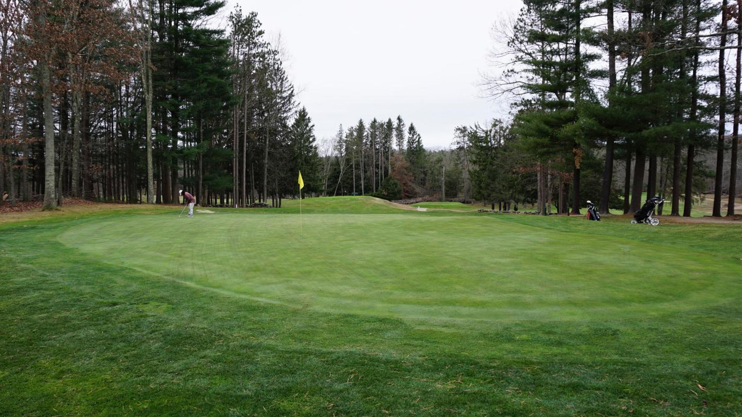 The second: Making a good first putt is essential on some of these very large, modern greens. (Photo submitted by AptlyLinked on 11/23/2020)