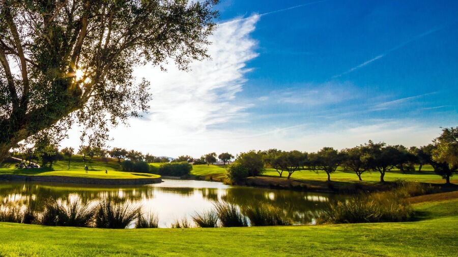 Panoramica GCC