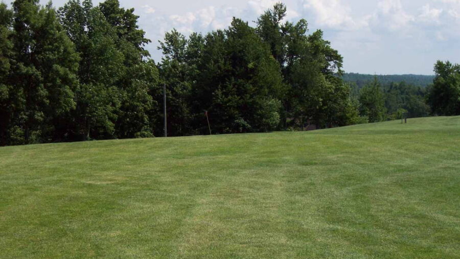 Port Bay GC: #17