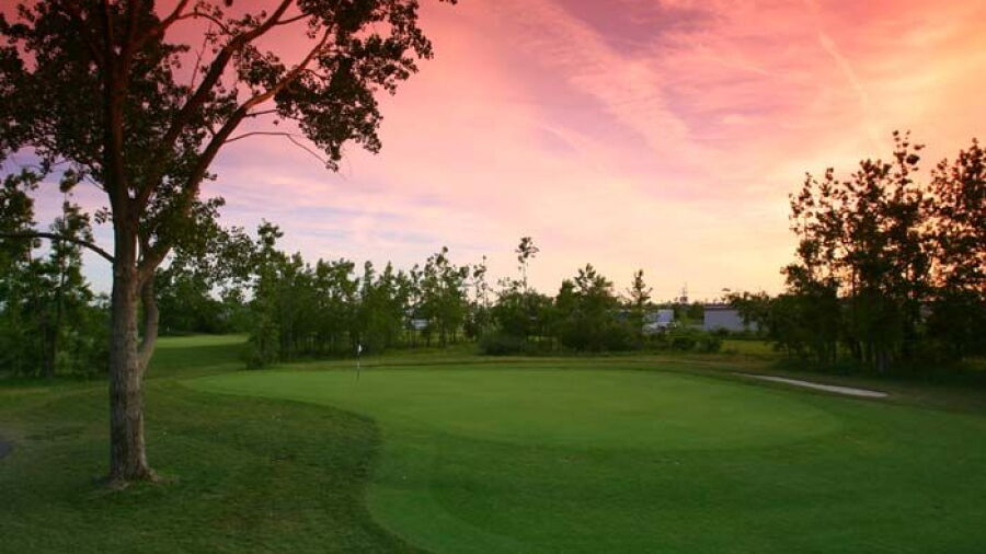 Diamond Hawk GC
