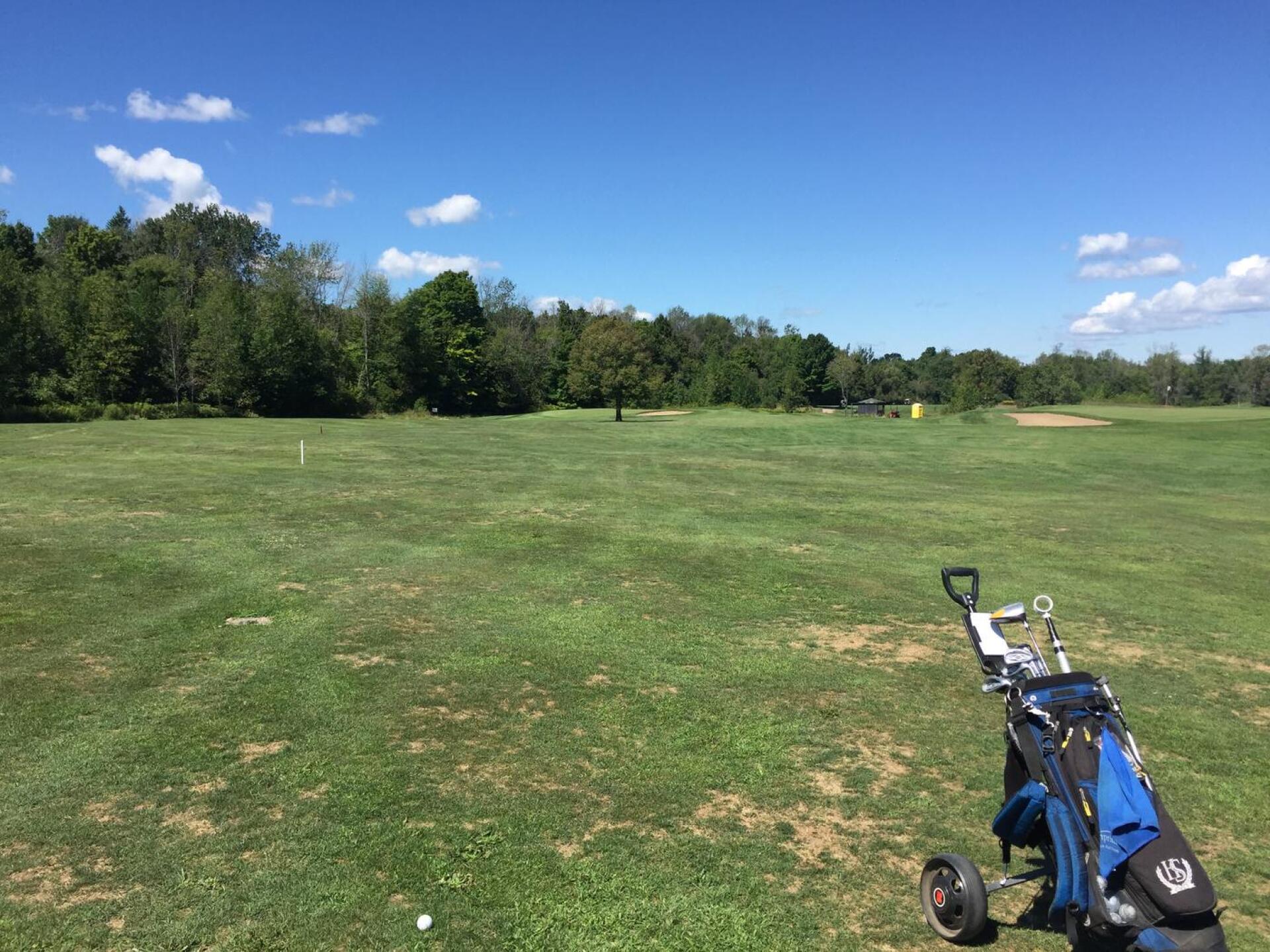 (Photo submitted by u543289195 on 08/25/2020)