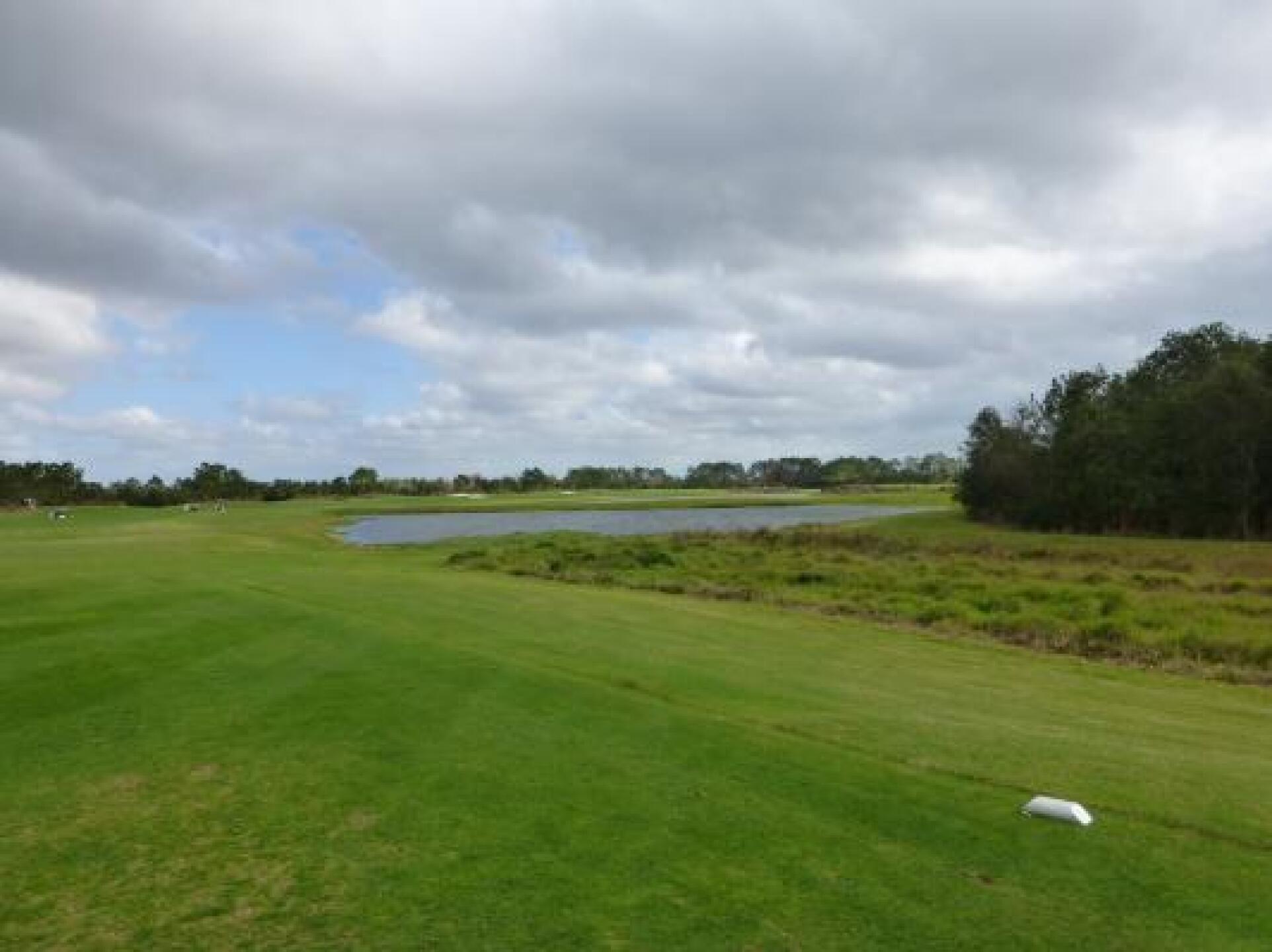 (Photo submitted by BroncoBilly on 01/28/2013)