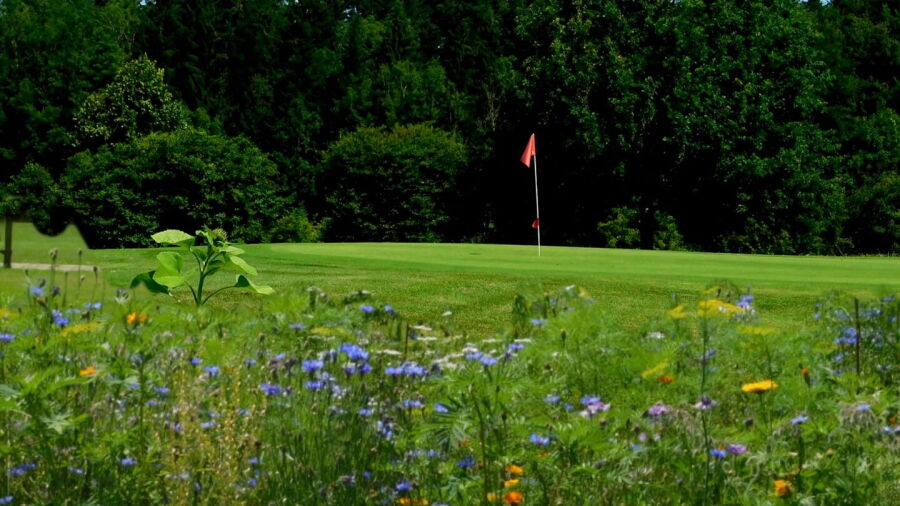 Ravensburg GC