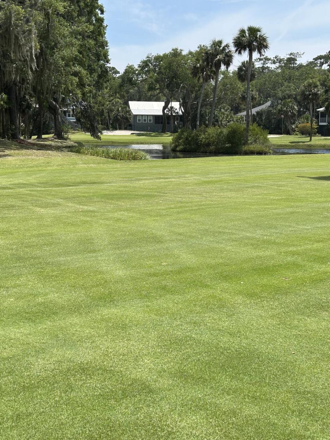 (Photo submitted by adaberne7 on 06/17/2023)