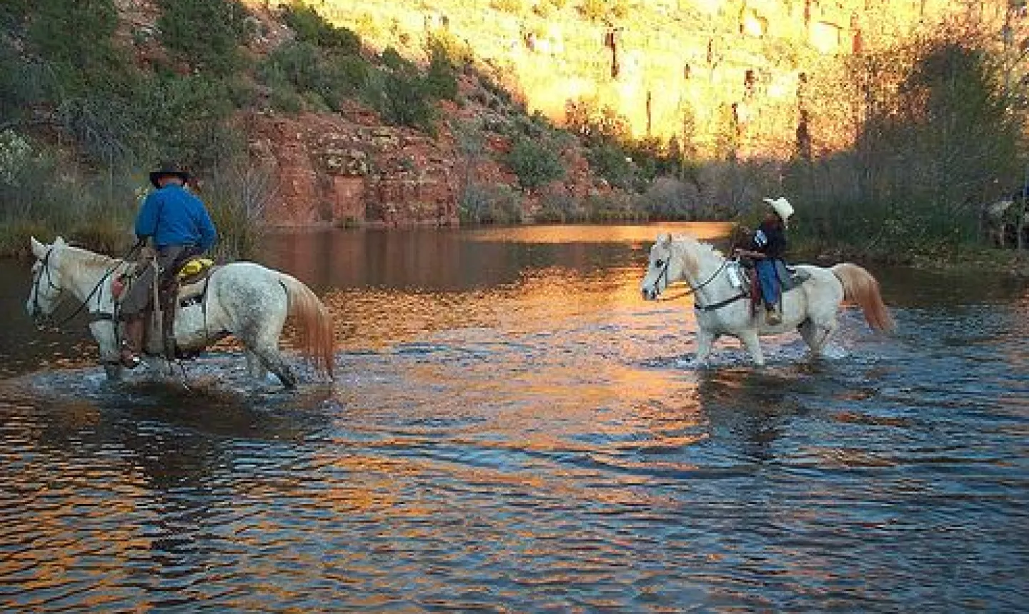 Sedona, Arizona - horses