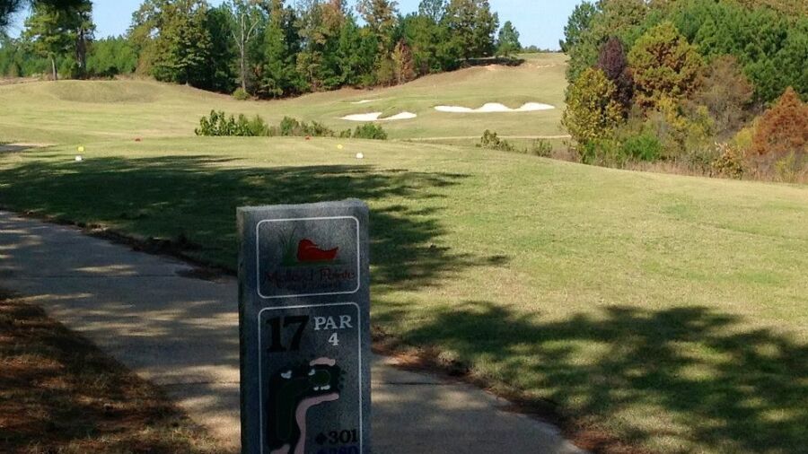 Mallard Pointe GC: #17