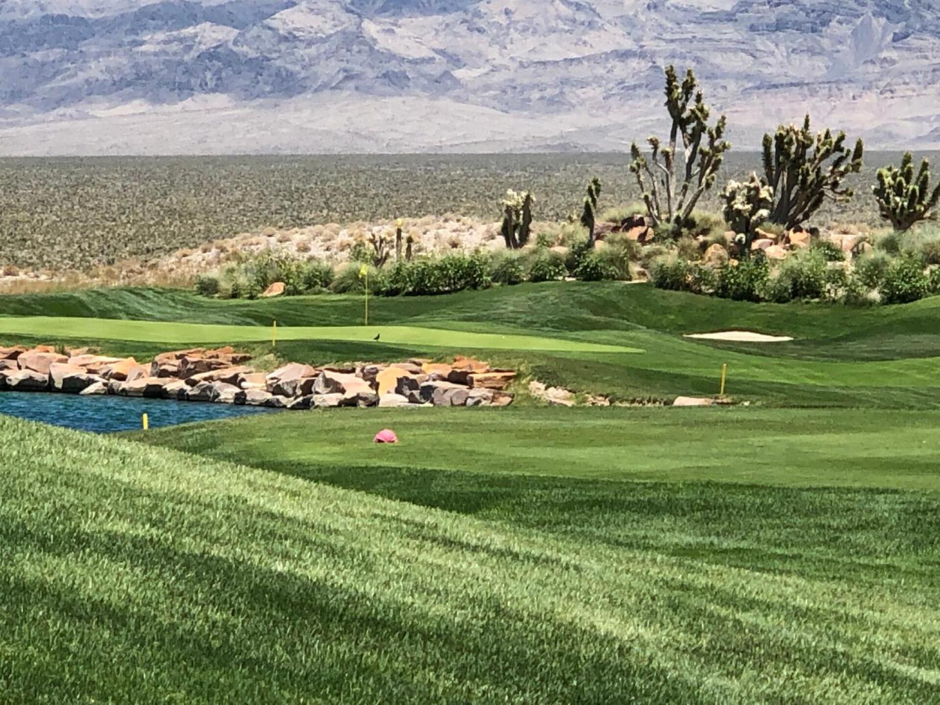 (Photo submitted by u314159357072 on 07/04/2019)