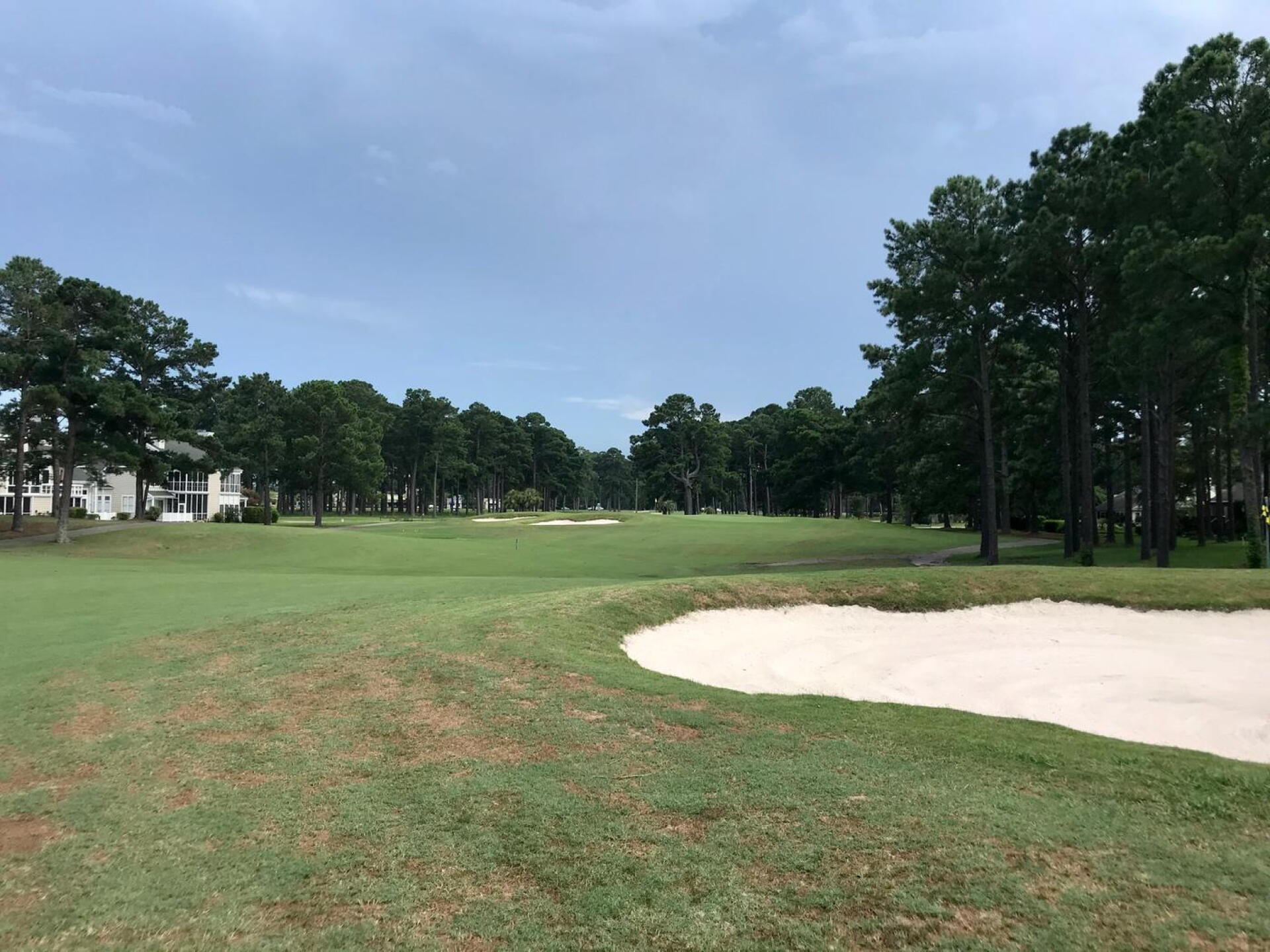 Myrtlewood Golf Club (Palmetto), hole 2 (Photo submitted by TimGavrichGP on 07/10/2020)