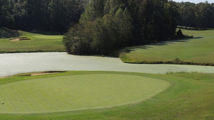 Chestatee GC: #10