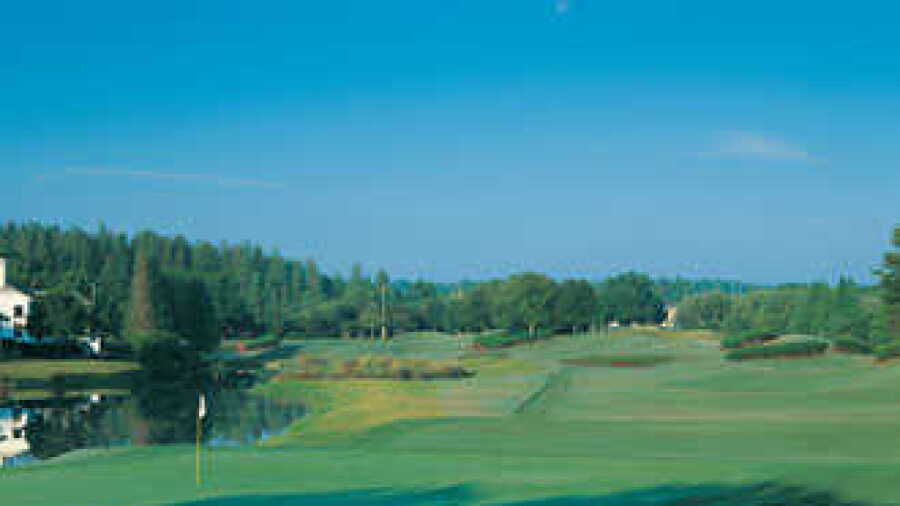 TPC Tampa Bay: #17