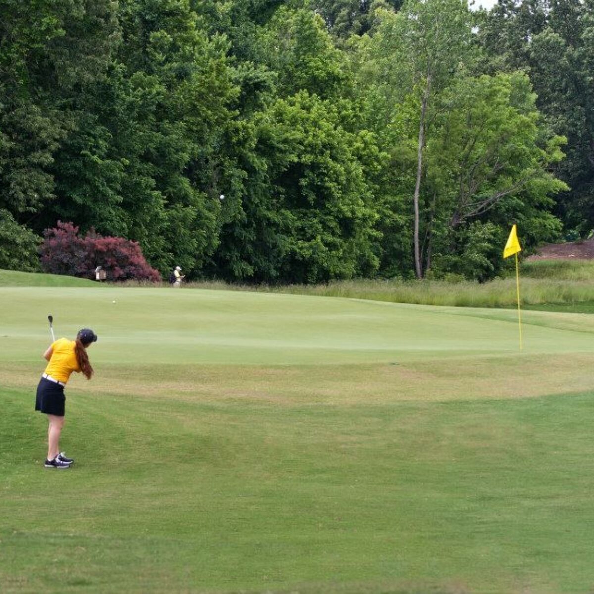 Mirimichi Golf Course Little Mirimichi In Millington Tennessee Usa Golf Advisor