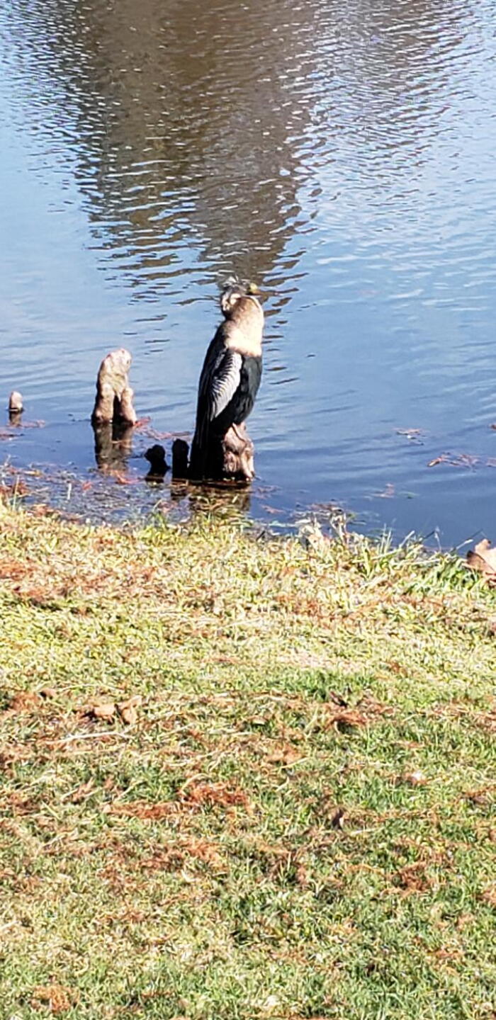 (Photo submitted by Acadian17 on 01/11/2023)