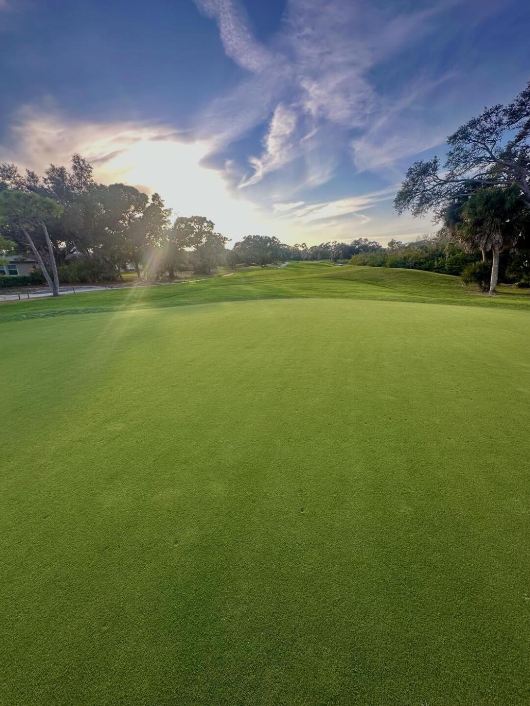 Pure.. (Photo submitted by SUdixHkJokwW8SuISAv3 on 01/12/2026)