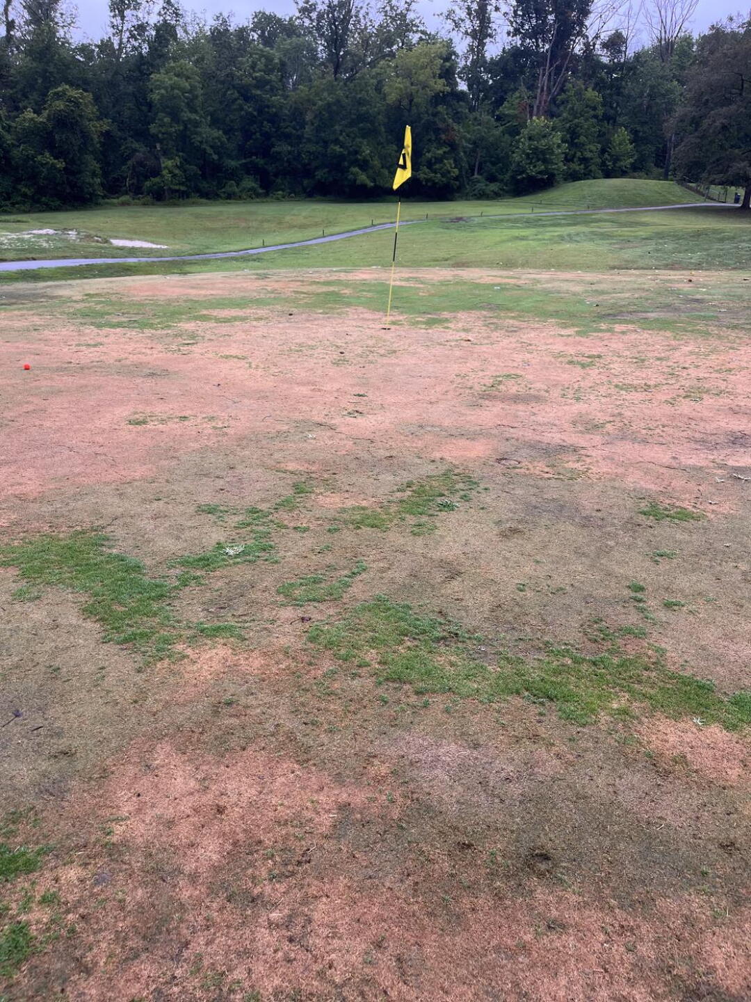 This was a picture of a decent green lol (Photo submitted by u000005255205 on 08/21/2025)