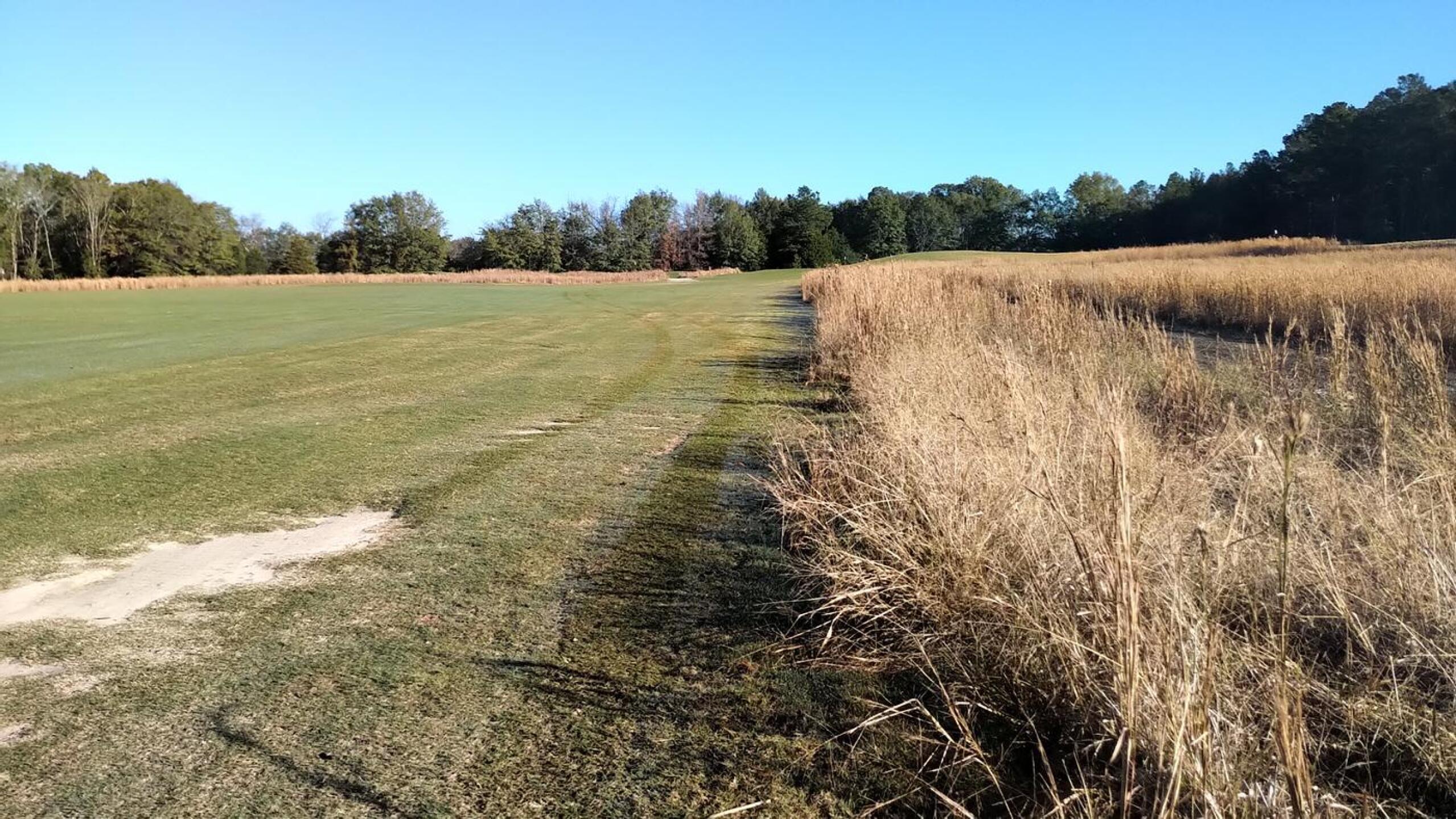 Fairway, 1st Cut, Native Grass (Photo submitted by JayEmm on 11/20/2020)