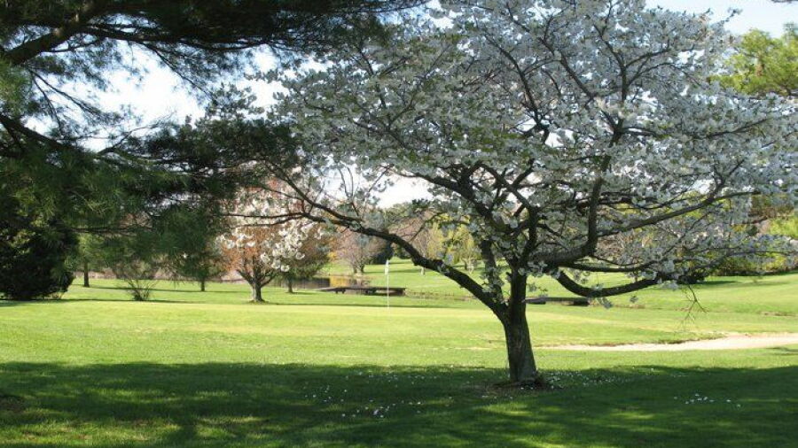 Blue Heron GC