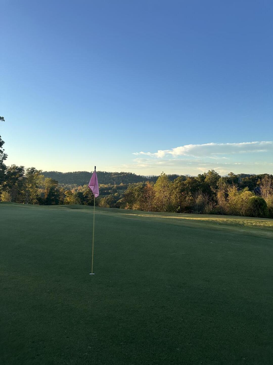 (Photo submitted by EkX0vCubxiewfFz3Ux4O on 10/23/2024)