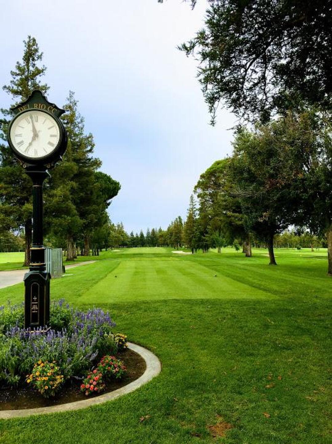 (Photo submitted by Gremlingolfer on 05/15/2019)