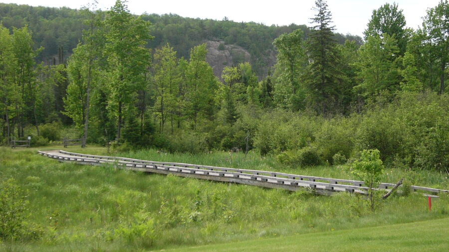 River's Edge GC: Wetlands