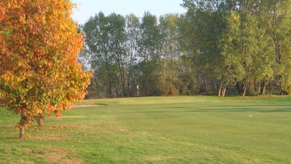 Green Club Lainate: #11