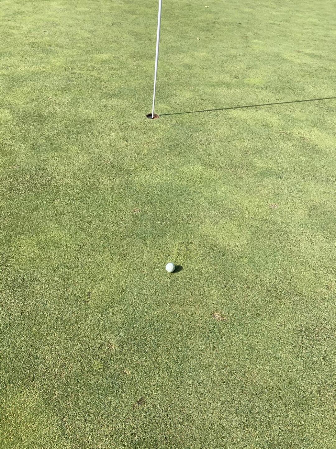 Beautiful shot on 14! (Photo submitted by jsmith05403 on 11/06/2020)