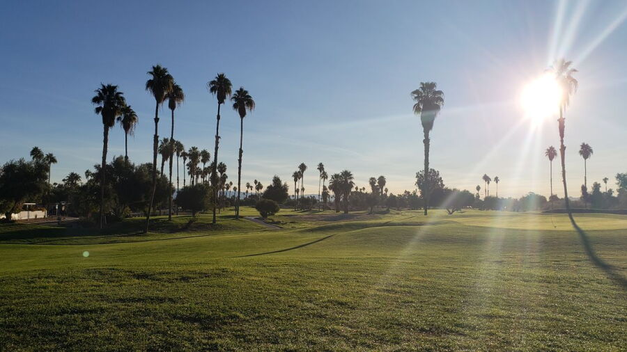 Mesquite GCC