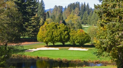 Resort at the Mountain - Pine Cone - no. 3