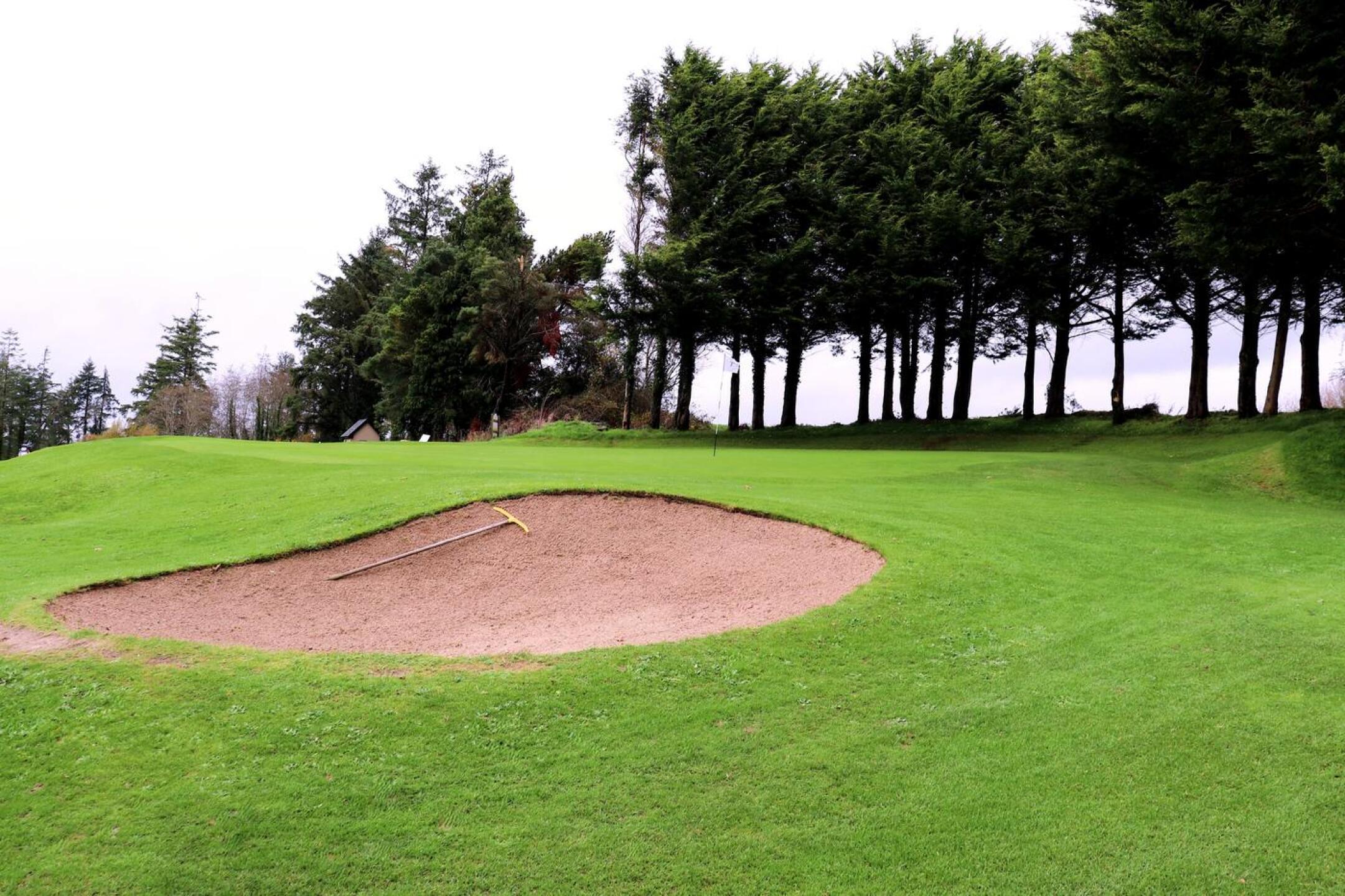 Fifth hole, par-3, 163 yards: This sternly uphill one-shotter is protected by bunkers both left and right. My tee shot bounced onto the putting surface (one way to do it!). (Photo submitted by AptlyLinked on 11/18/2025)
