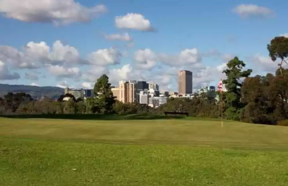 North Adelaide Golf - North