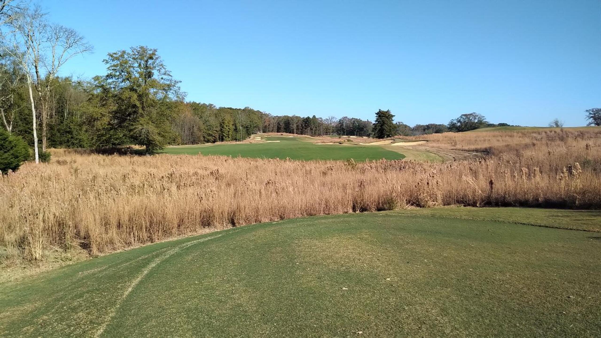 #12, par 5 (Photo submitted by JayEmm on 11/20/2020)