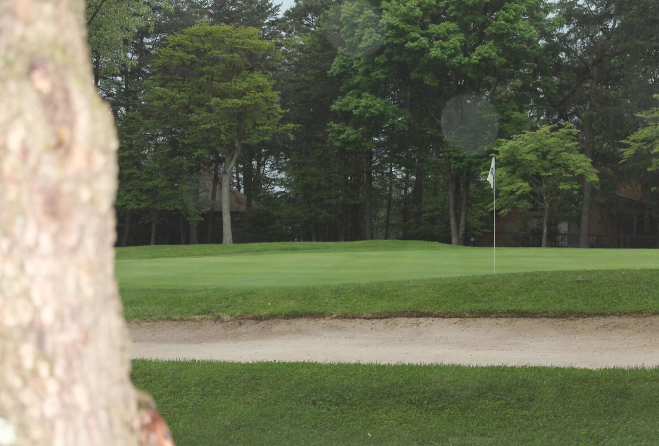 (Photo submitted by sorenj on 07/20/2017)