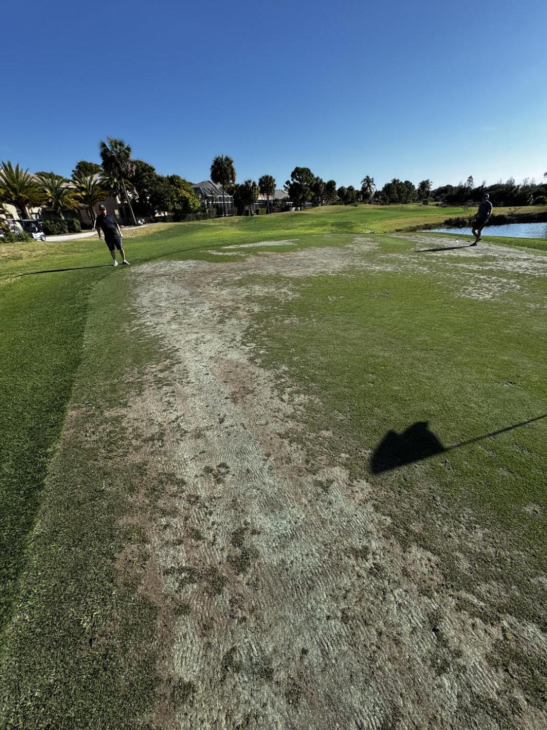12th green (Photo submitted by PeteGolf on 02/20/2026)