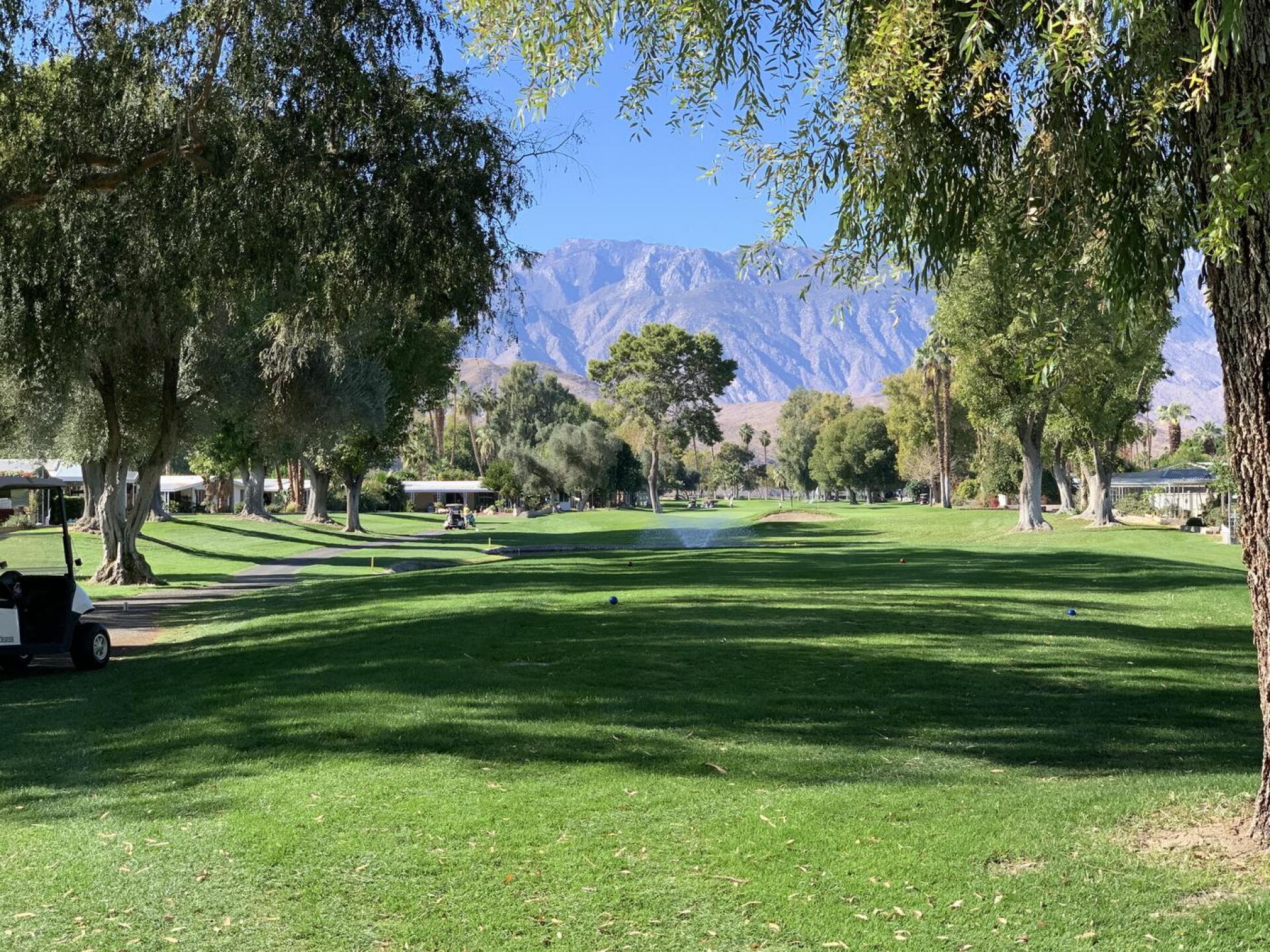 On the back nine. Maybe 14 or 15 (Photo submitted by Cnjmac on 11/24/2020)