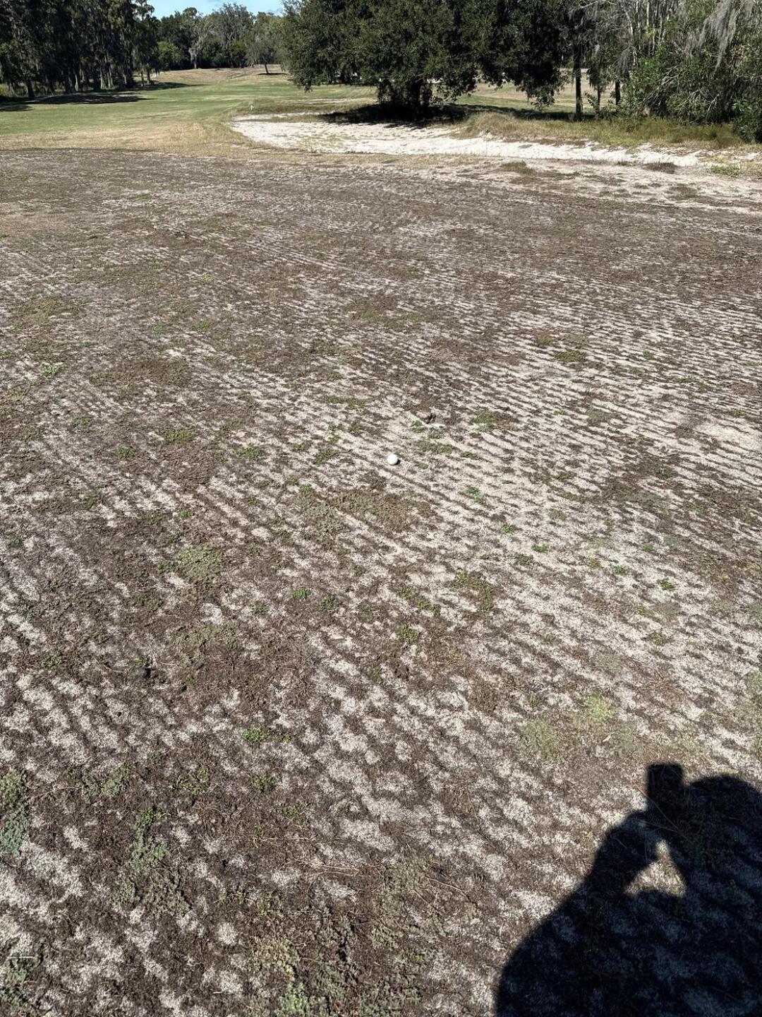 (Photo submitted by RRossi on 11/04/2025)