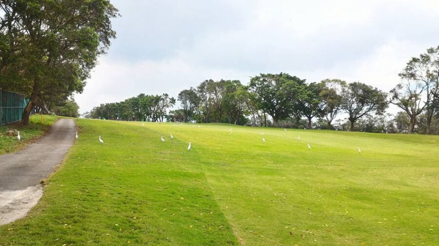 New Tamsui GC