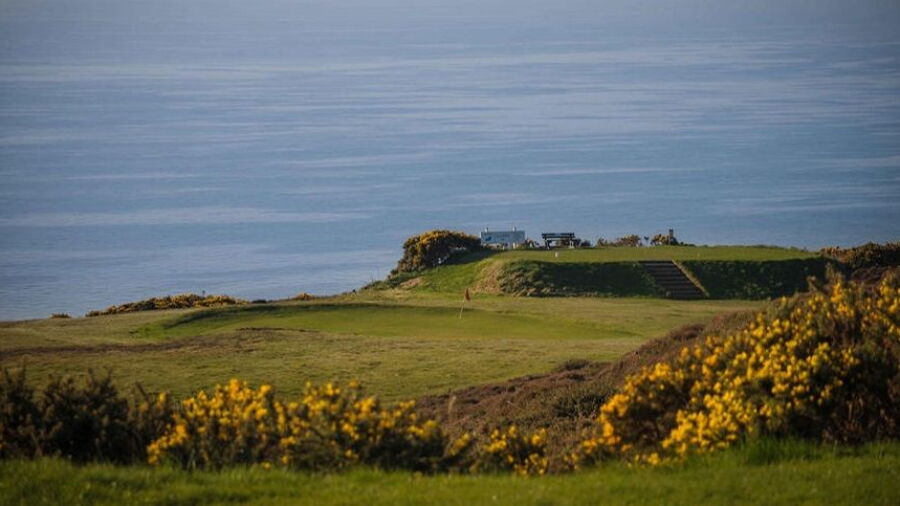 King Edward Bay: #14