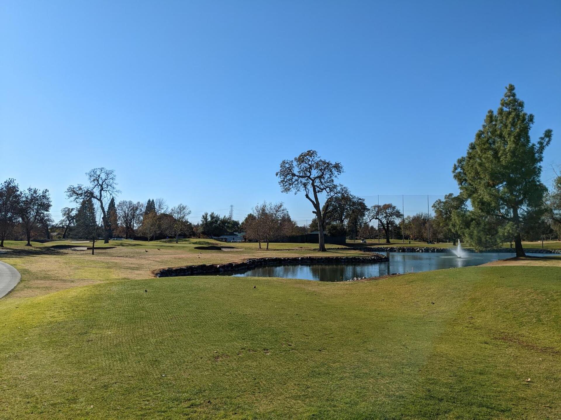 (Photo submitted by linz4ucla on 12/08/2022)