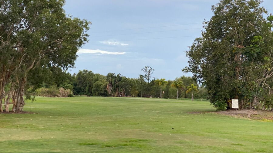 Melaleuca GC: #3