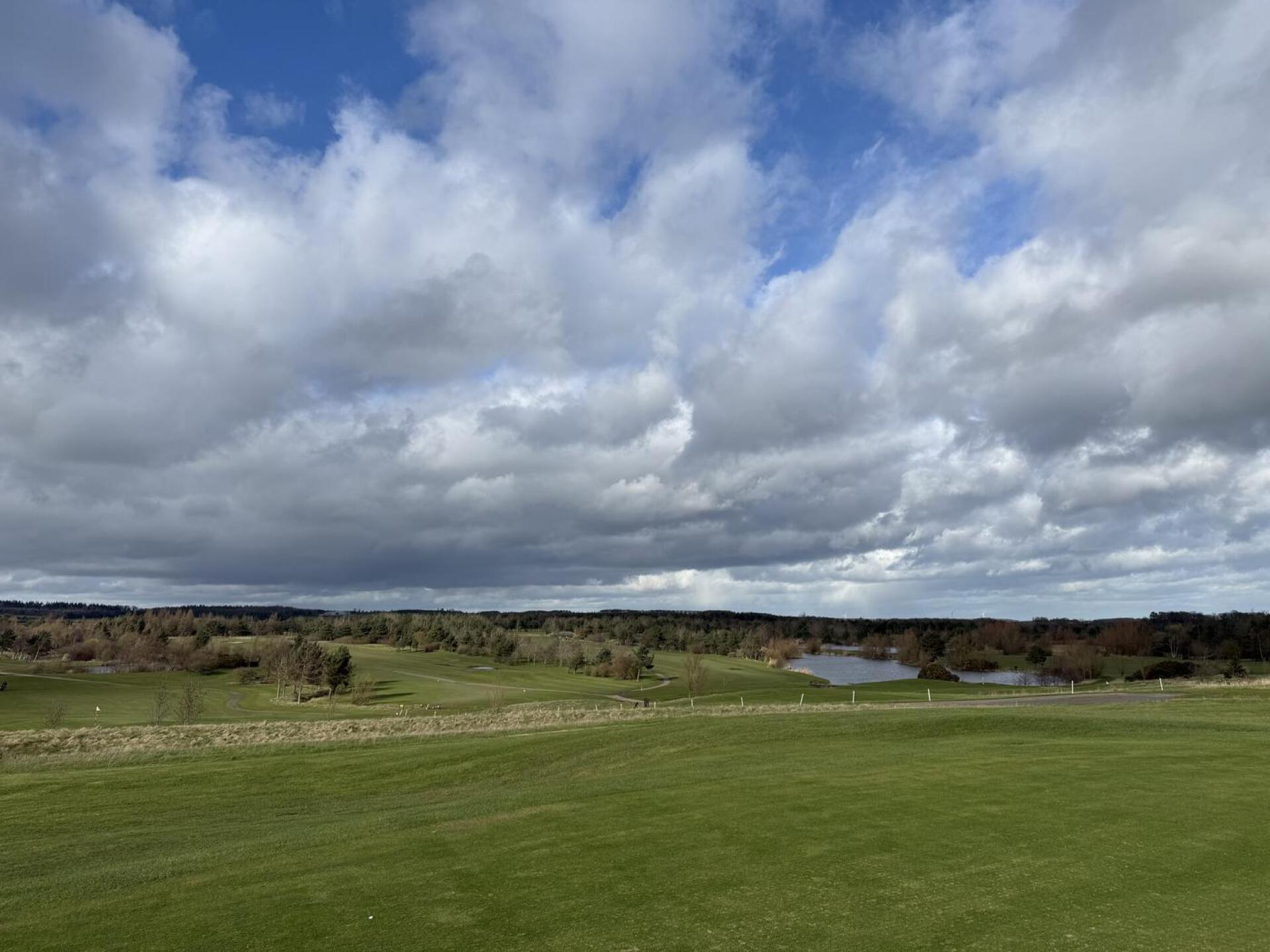 (Photo submitted by Mickytrotter1 on 03/14/2026)