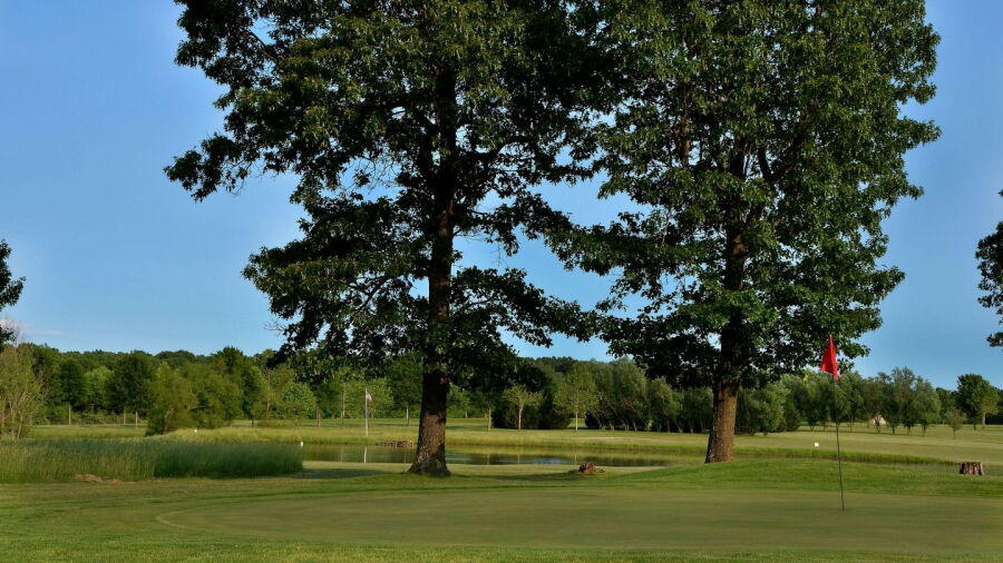 Dream Valley GC: #2