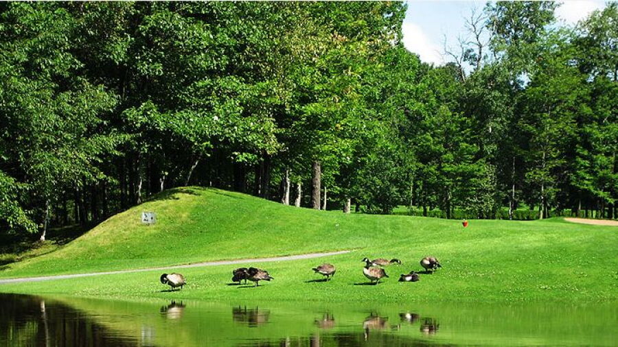 Club de Golf de Plessisville: #14