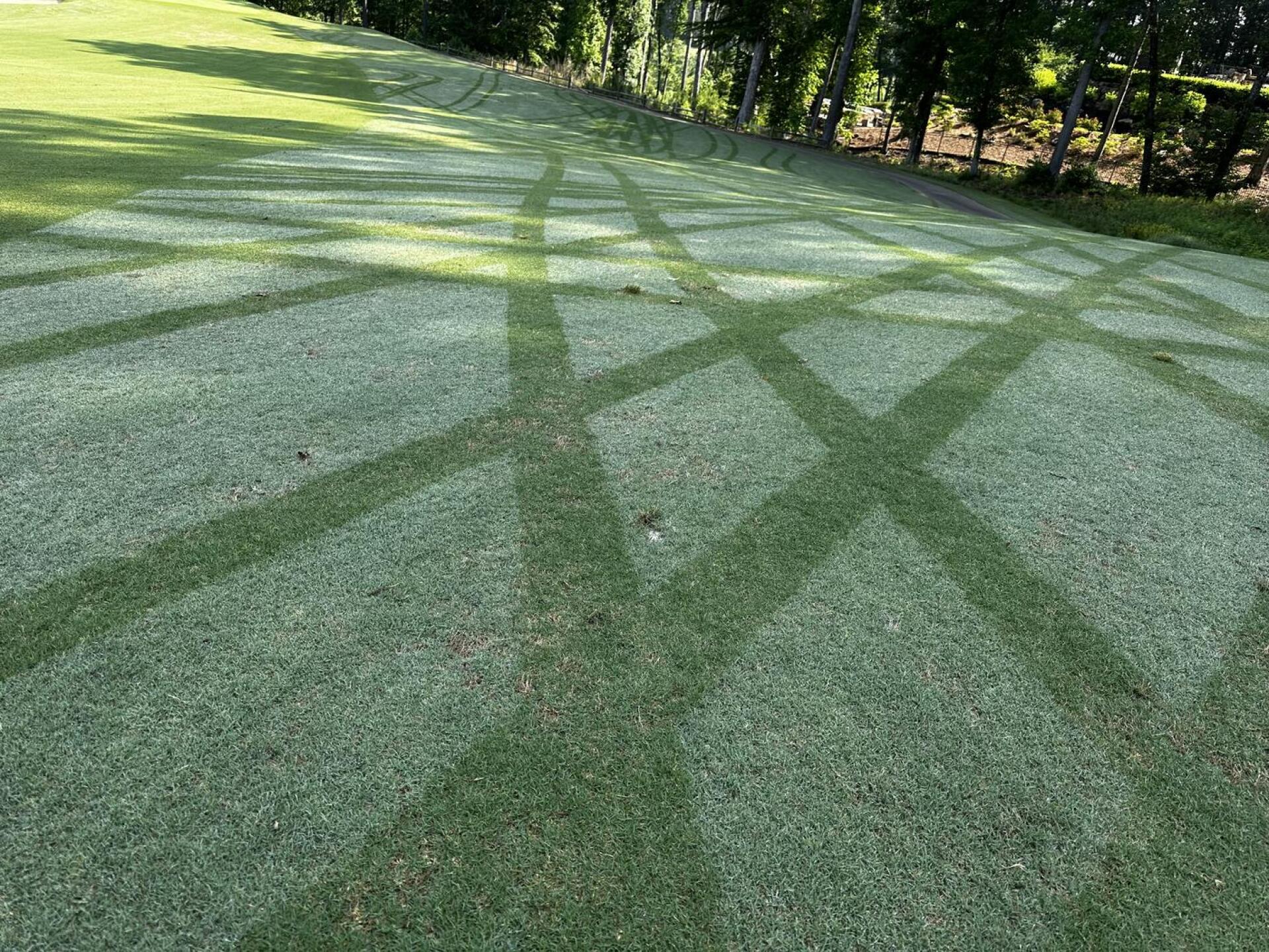 (Photo submitted by Ken2066731 on 05/25/2023)