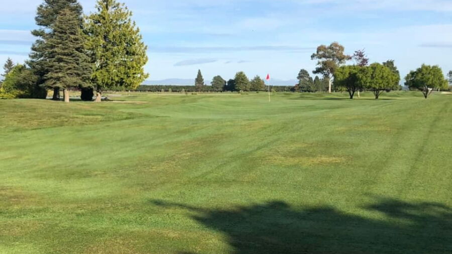 Timaru GC