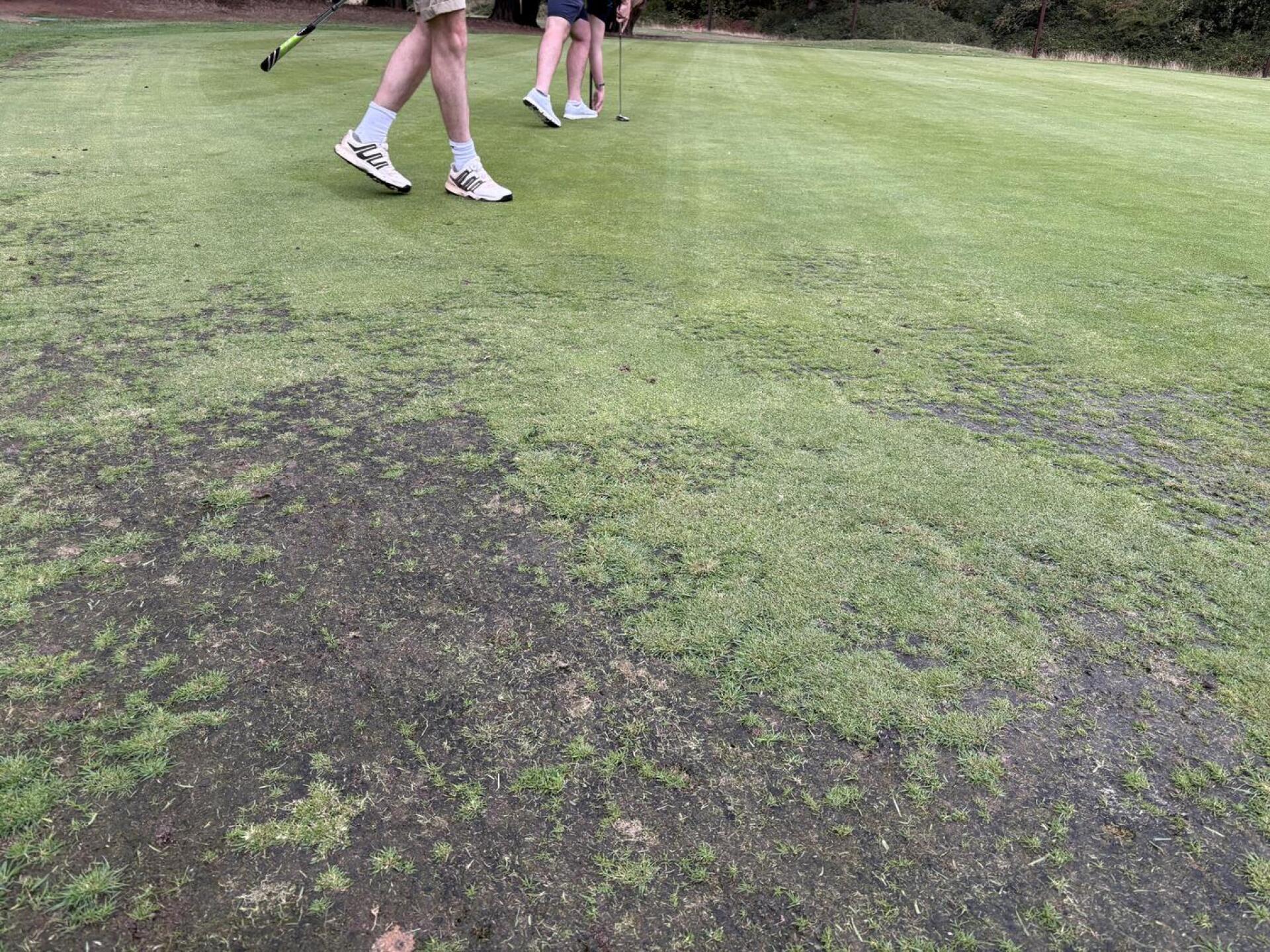 (Photo submitted by u314162221586 on 09/03/2025)