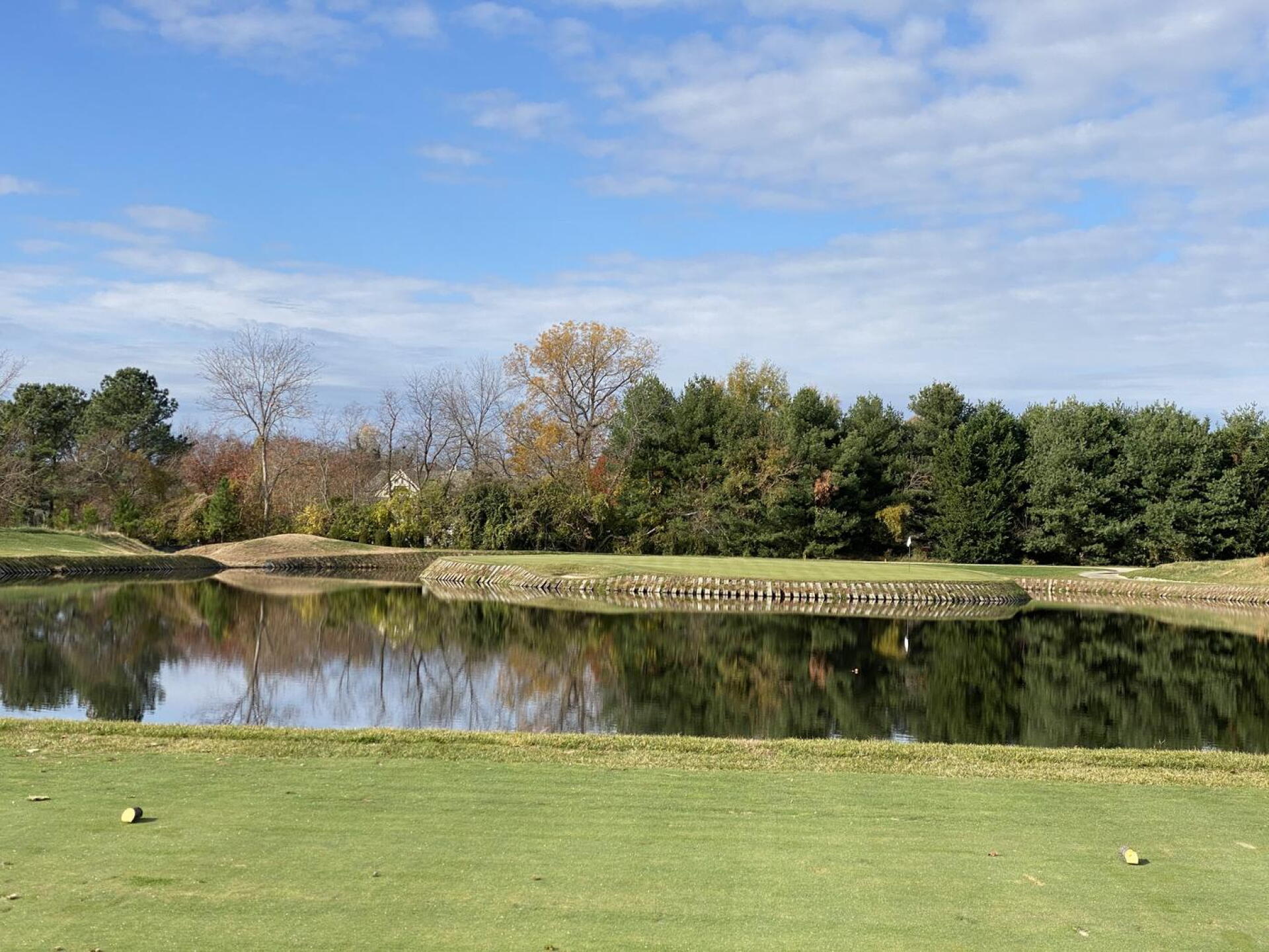 #17 (Photo submitted by Waltmoddison on 11/28/2020)
