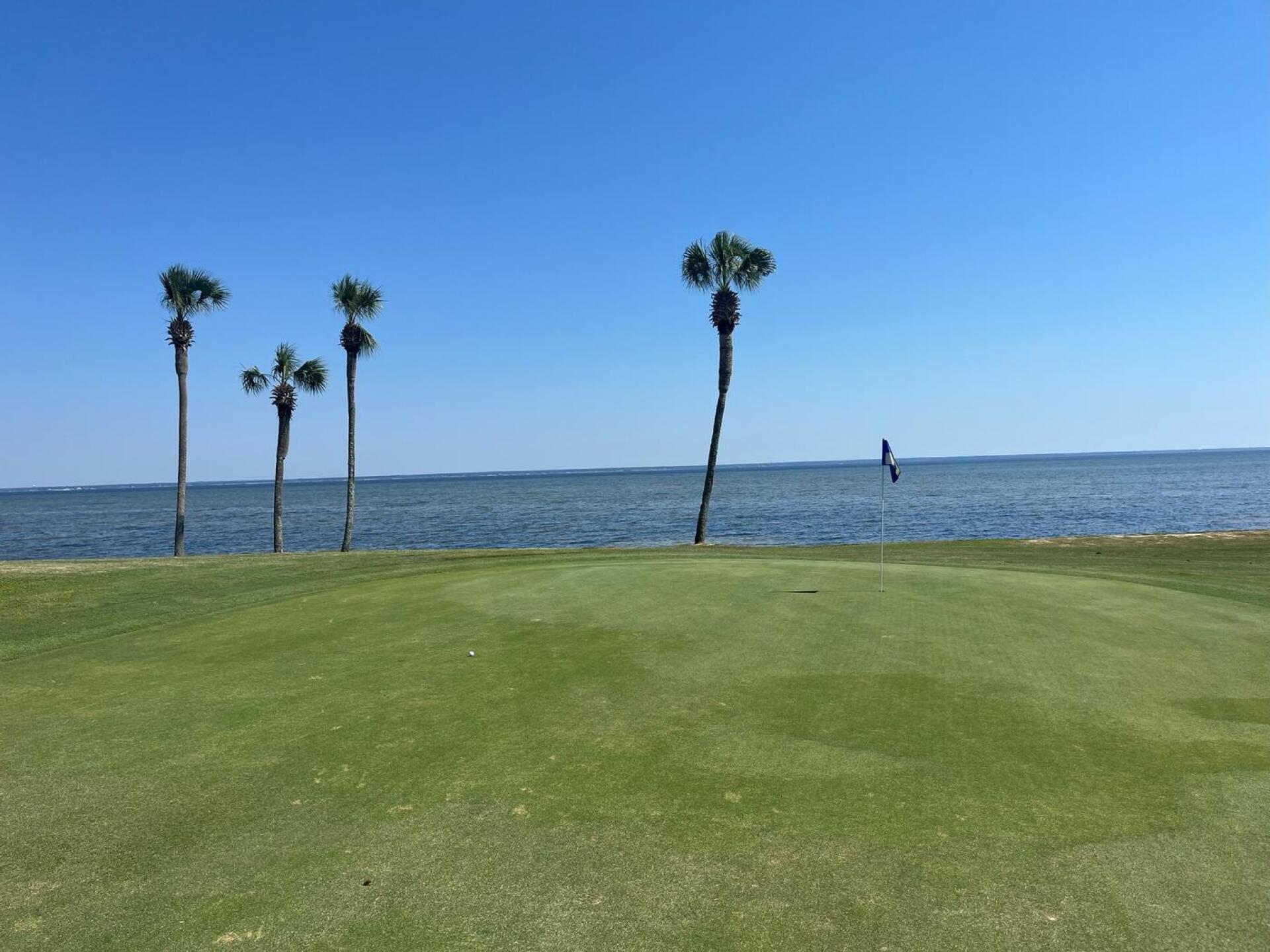 (Photo submitted by ddelah1 on 07/13/2024)