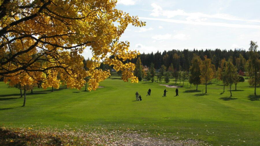 Tammer Golf