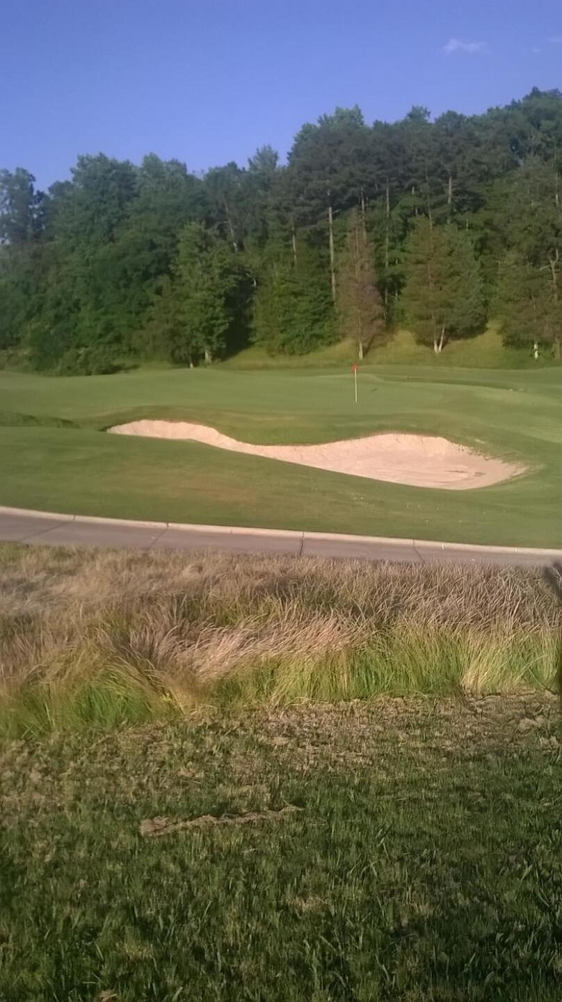 8th hole view from the left rough (Photo submitted by ndabunka on 11/22/2018)