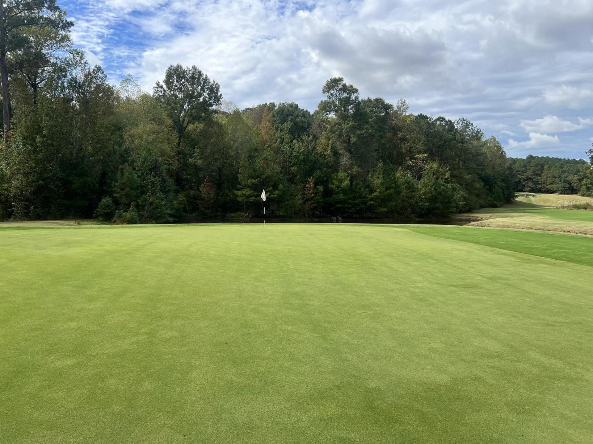 (Photo submitted by MrCompetetion on 10/09/2025)