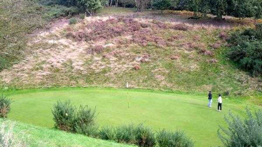 Notts GC: #15